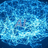 ZooM43221
